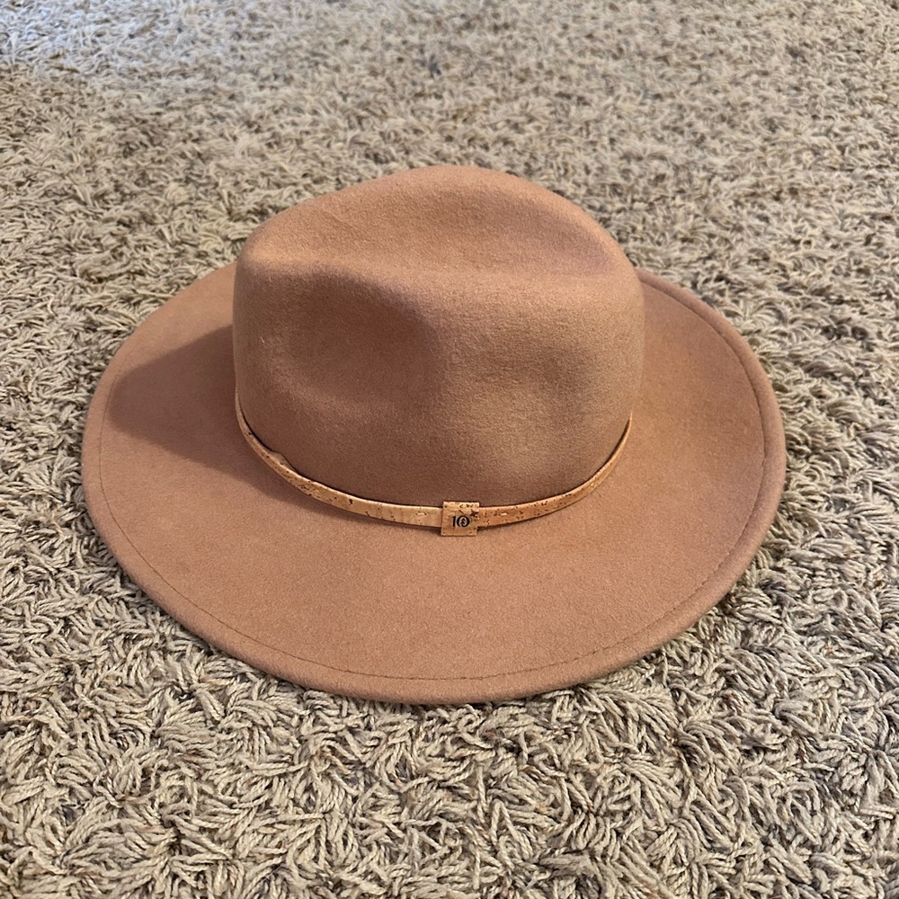 Tentree Brown Hat